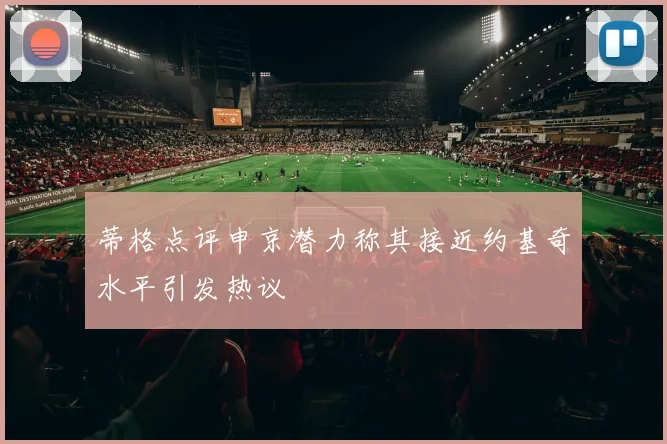 蒂格点评申京潜力称其接近约基奇水平引发热议