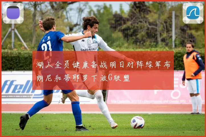 湖人全员健康备战明日对阵绿军布朗尼和蒂耶罗下放G联盟