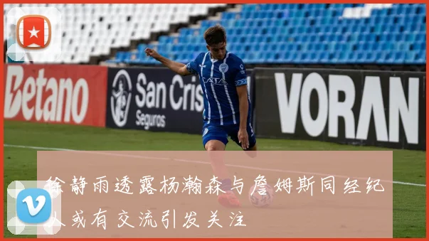 徐静雨透露杨瀚森与詹姆斯同经纪人或有交流引发关注