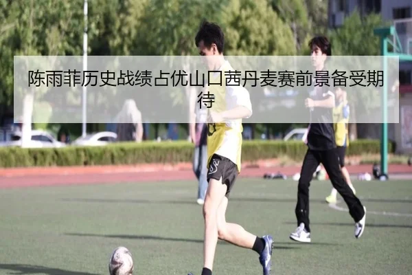 陈雨菲历史战绩占优山口茜丹麦赛前景备受期待 - 3377Sports